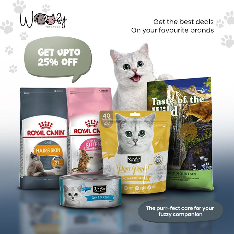 Wet Cat Food: Textures, Portions and Winning Over a Fussy Cat
