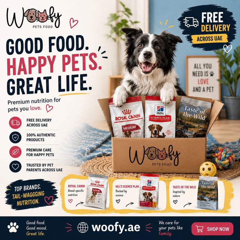 Hypoallergenic dog food with salmon as a novel protein source for dogs with sensitivities