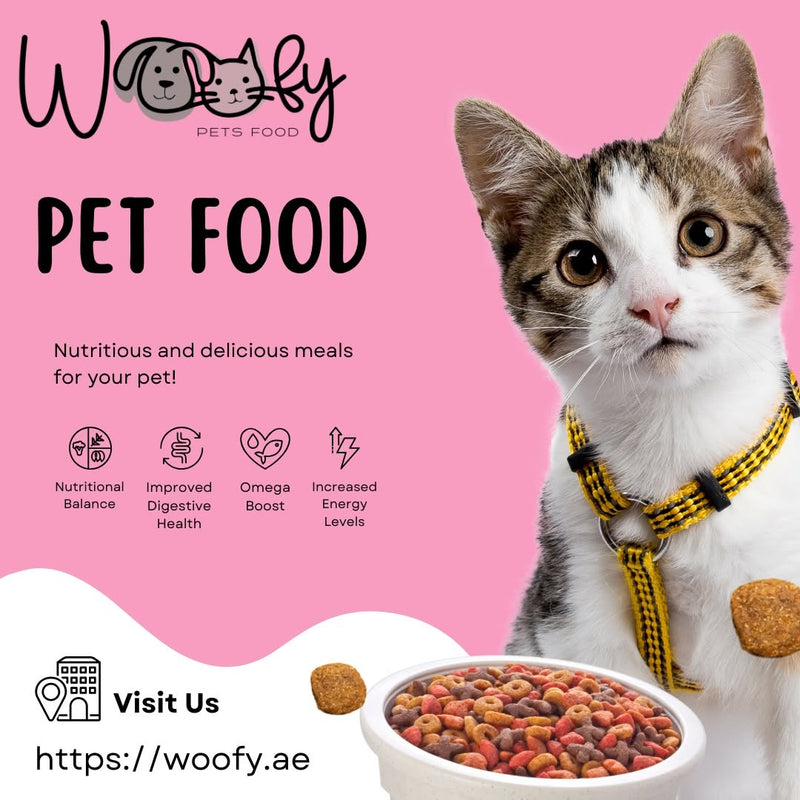 Best Flea Treatments for Cats: What Is Safe and What Can Kill