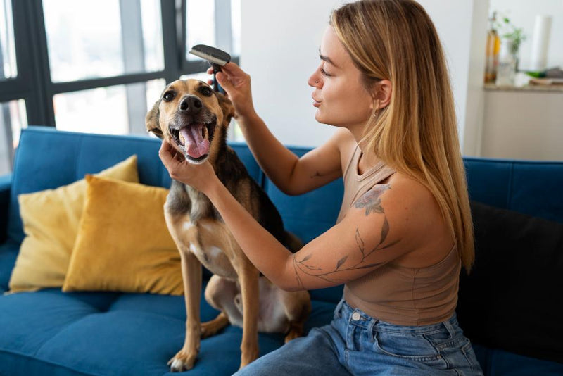Why Pet Care Matters