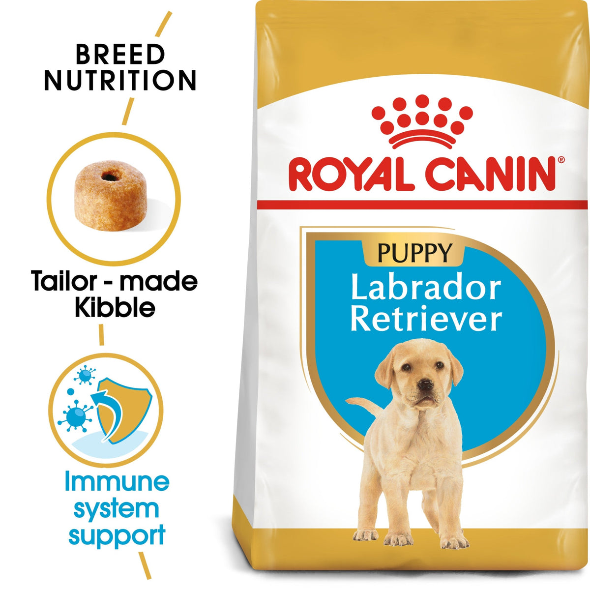 Puppy food for a small breed, part of the care expected once a dog is registered in Dubai