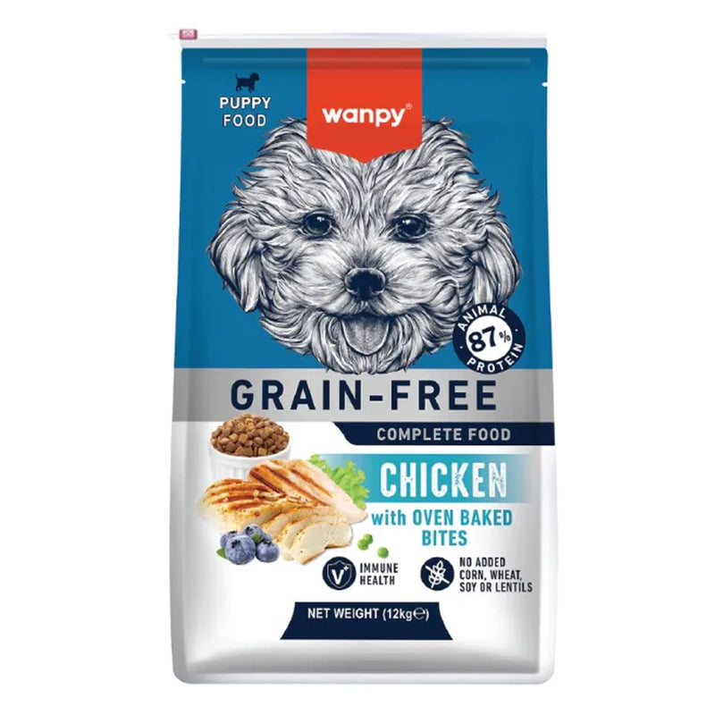 Grain Free Cat Food: What It Is and When It Actually Helps