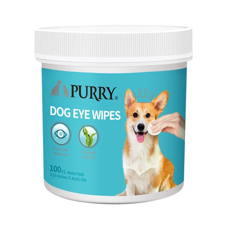 Owner caring for a dog's eyes, part of the everyday health costs to weigh when choosing pet insurance UAE