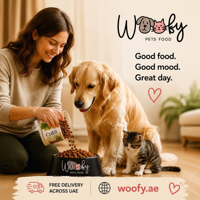 Hypoallergenic salmon dry dog food, one of the best dog foods for sensitive stomach and skin