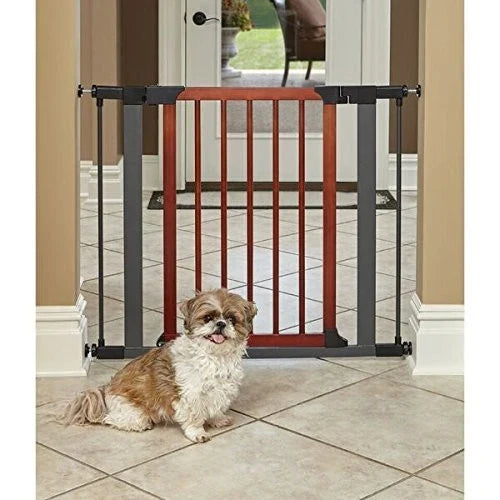 Indoor Dog Park Dubai: How to Choose One That Suits Your Dog