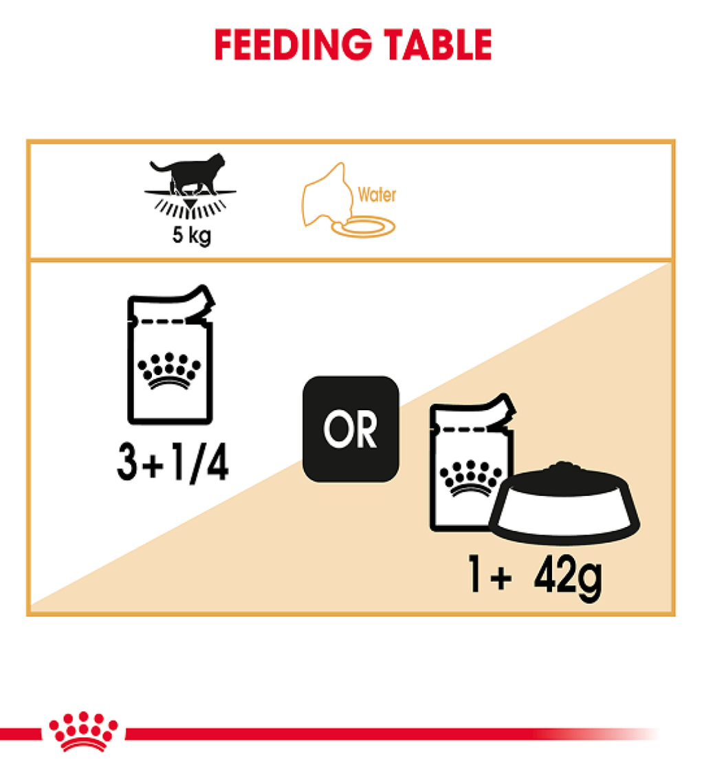 Royal Canin Feline Breed Nutrition British Shorthair (Wet Food - Pouches) 12 x 85 g