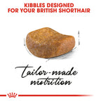 Royal Canin Feline Breed Nutrition British Shorthair Adult