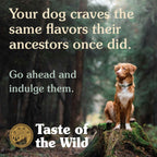 Taste of the Wild Pine Forest Canine Recipe Dog Food