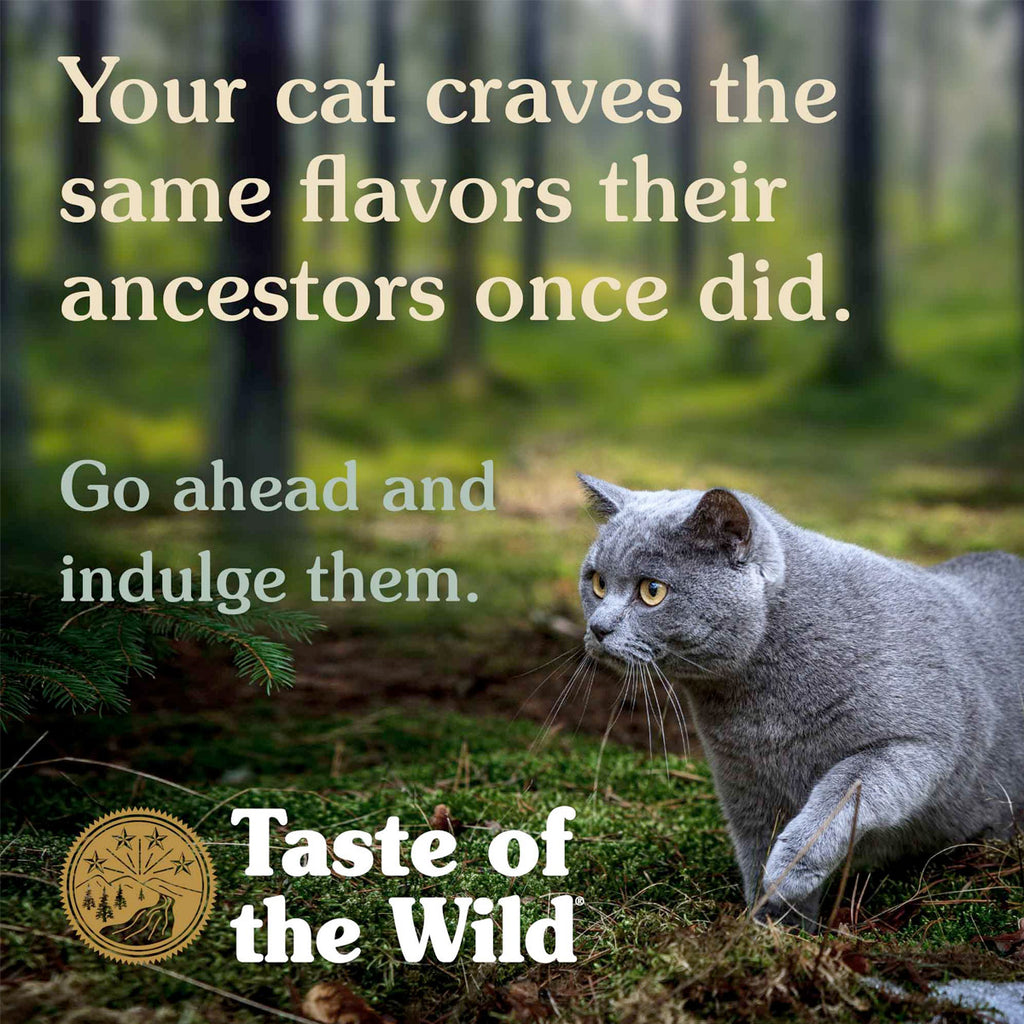 Taste of the Wild Canyon River Feline Recipe 85gr ( 1Box – 24pcs)