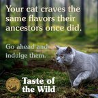 Taste of the Wild Canyon River Feline Recipe 85gr ( 1Box – 24pcs)