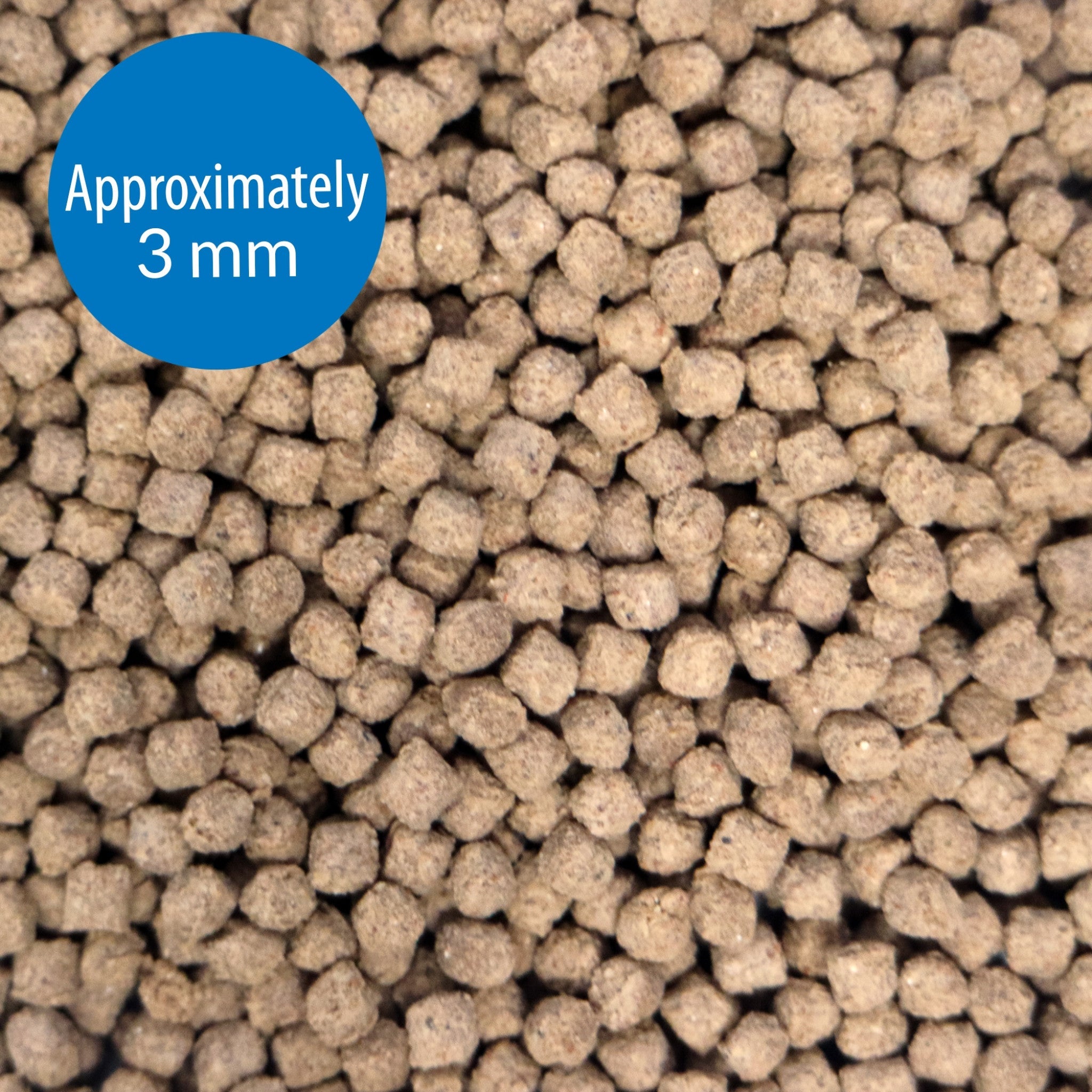 API Bottom Feeder Pellets with Squid 4 oz