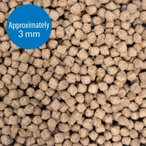 API Bottom Feeder Pellets with Squid 4 oz