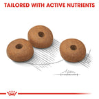 Royal Canin Canine Care Nutrition Medium Light Weight Care