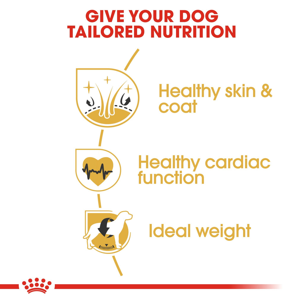 Royal Canin Breed Health Nutrition Golden Retriever Adult