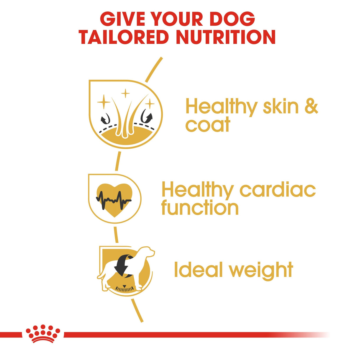 Royal Canin Breed Health Nutrition Golden Retriever Adult