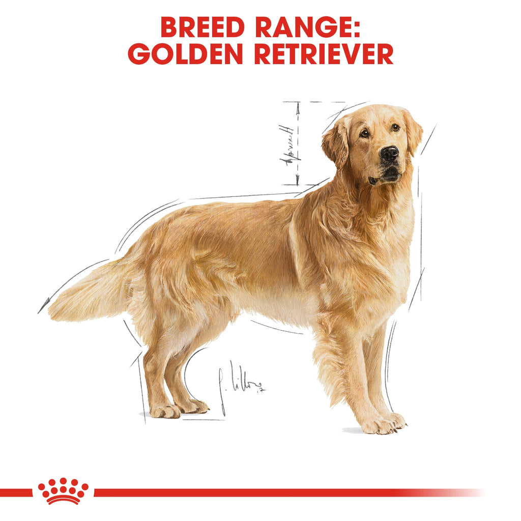 Royal Canin Breed Health Nutrition Golden Retriever Adult