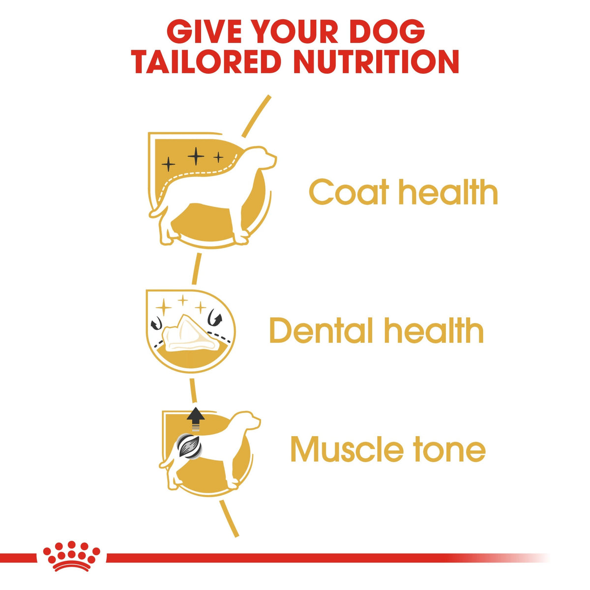 Royal Canin Breed Health Nutrition Poodle Adult 1.5 kg