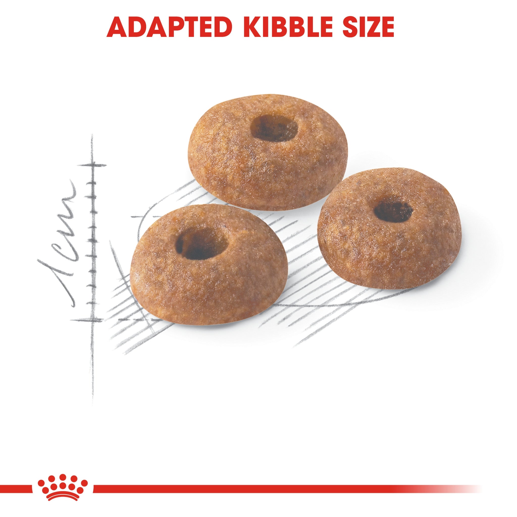 Royal Canin Feline Health Nutrition Fit 32