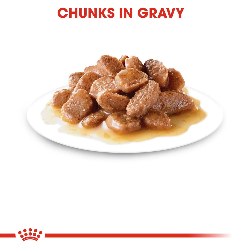 Royal Canin Feline Health Nutrition Instinctive Adult Cats Gravy (Wet Food - Pouches) 12 x 85 g