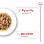 Royal Canin Size Health Nutrition Medium Adult Wet Food - Pouches 10 x 140 g