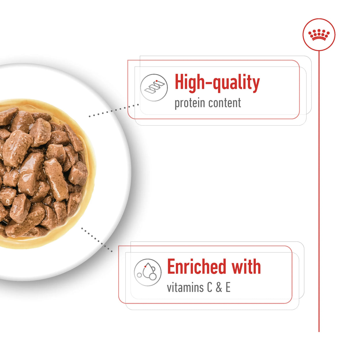 Royal Canin Size Health Nutrition Medium Adult Wet Food - Pouches 10 x 140 g
