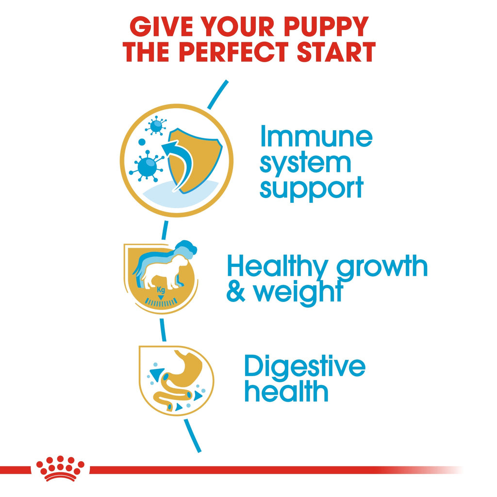 Royal Canin Breed Health Nutrition Labrador Puppy