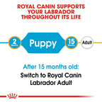 Royal Canin Breed Health Nutrition Labrador Puppy