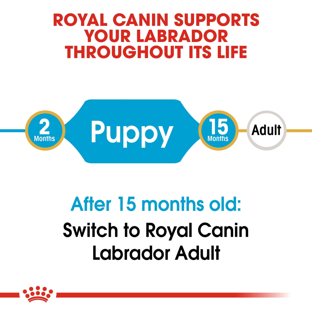 Royal Canin Breed Health Nutrition Labrador Puppy