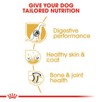 Royal Canin Breed Health Nutrition German Shepherd Adult