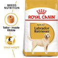 Royal Canin Breed Health Nutrition Labrador Adult