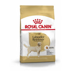 Royal Canin Breed Health Nutrition Labrador Adult