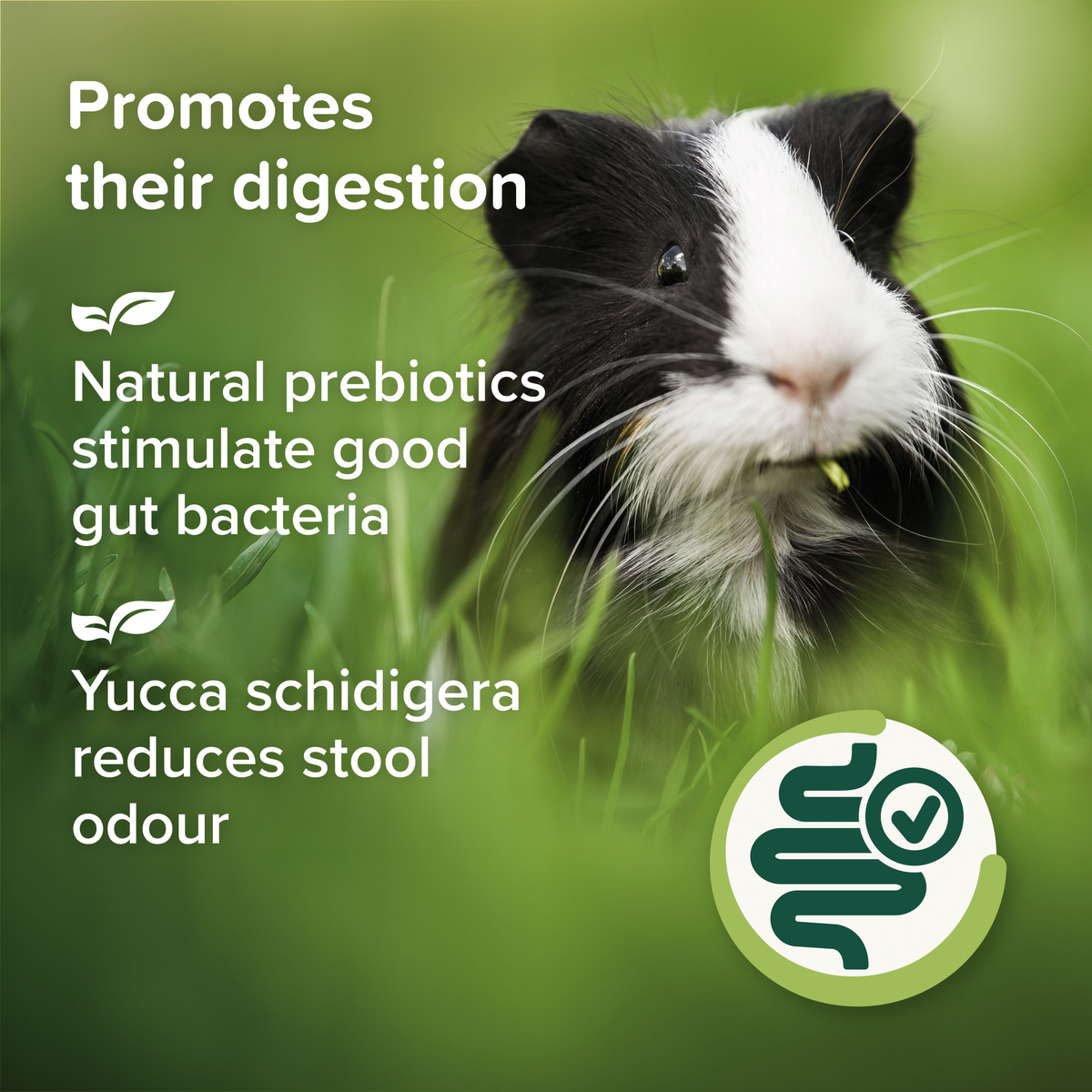 Care+ Nature Premium Food Guinea Pig 1.5 kg
