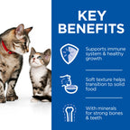 Hill's Science Plan Kitten & Mother Tender Mousse