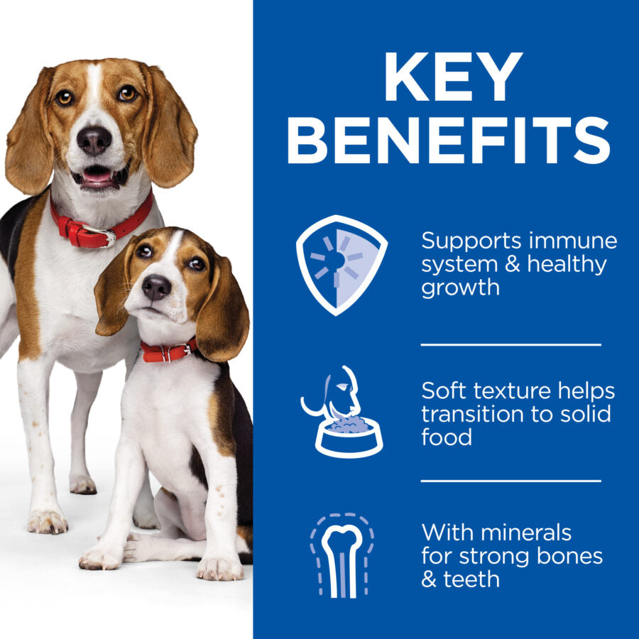Hill's Science Plan Puppy & Mother Mousse