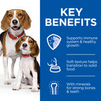 Hill's Science Plan Puppy & Mother Mousse