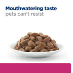 Hill’s Science Plan Hypoallergenic Adult wet Food with Salmon