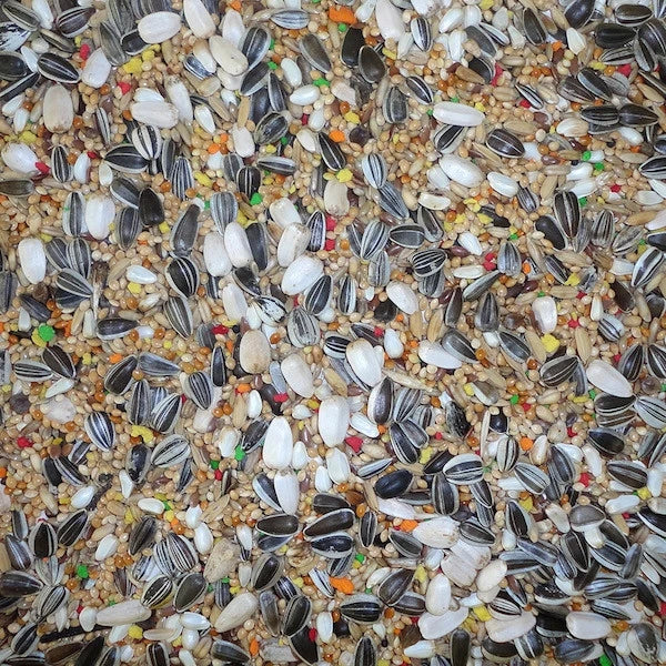 Parakeet Budget Mix 20 kg