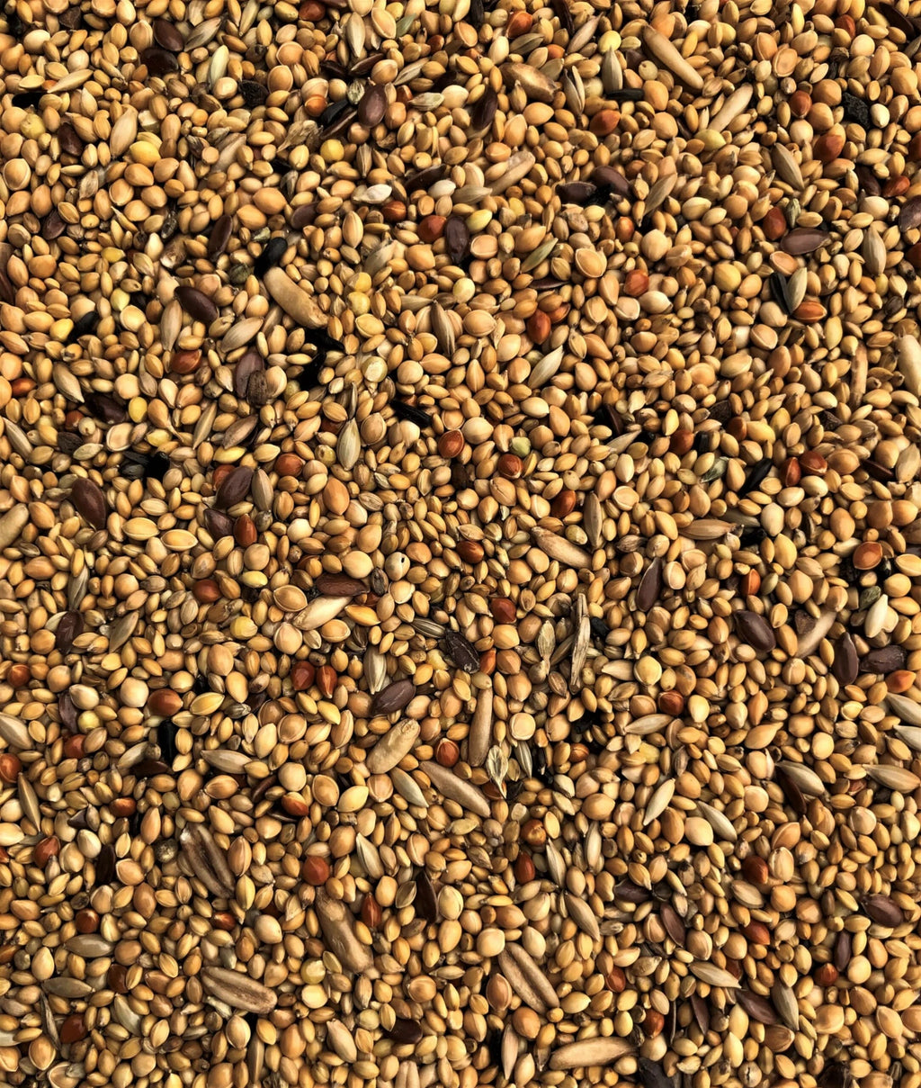 Exotic Mix 20 kg
