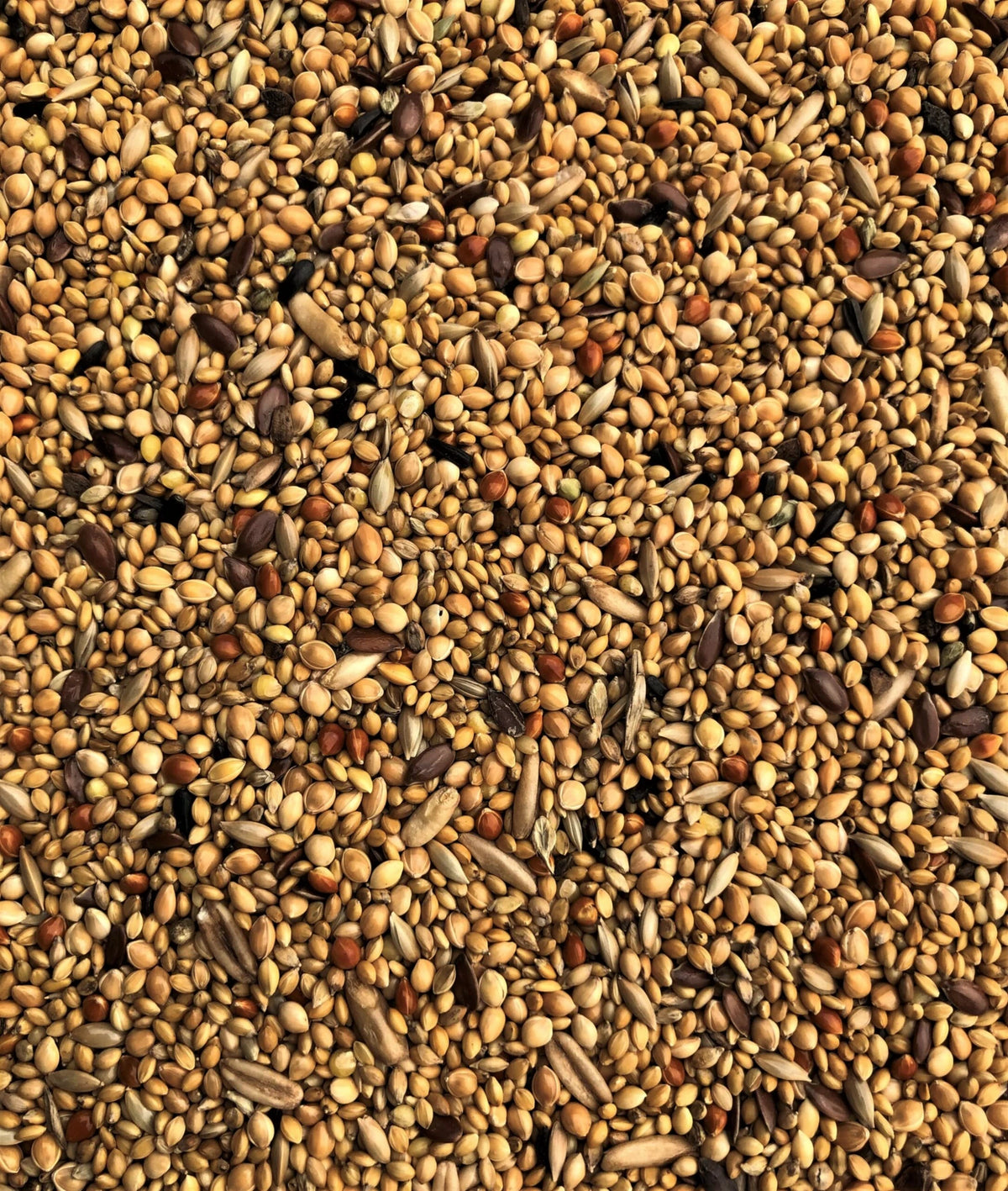 Exotic Mix 20 kg