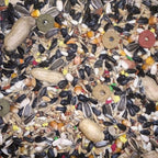 Parrot Food 15 kg