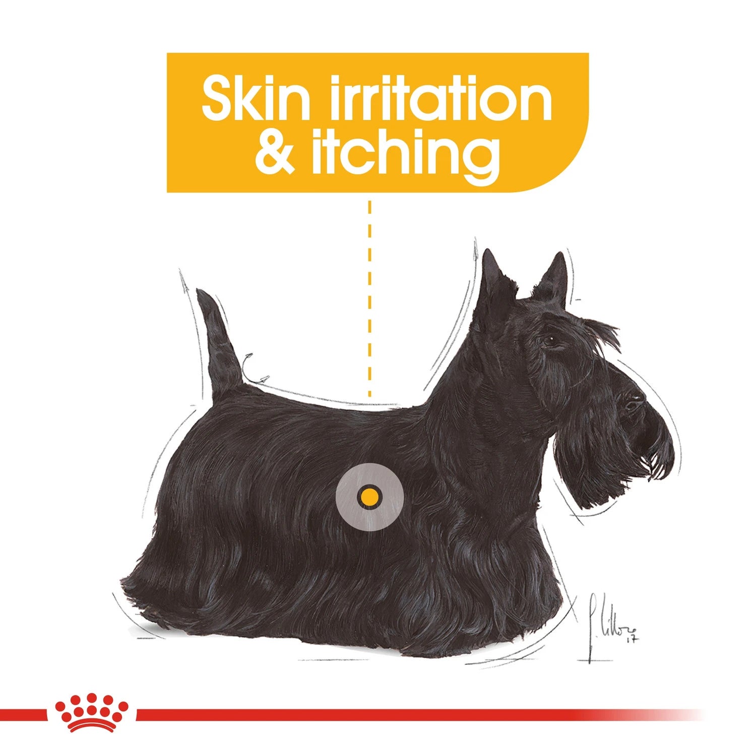 Royal Canin Care Nutrition Mini Dermacomfort 3 kg