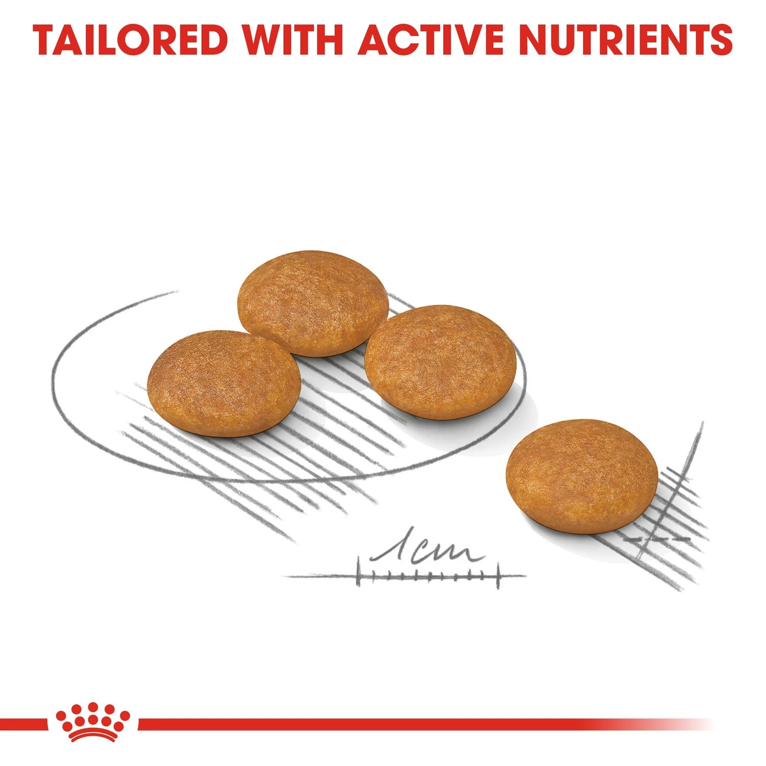 Royal Canin Care Nutrition Mini Dermacomfort 3 kg