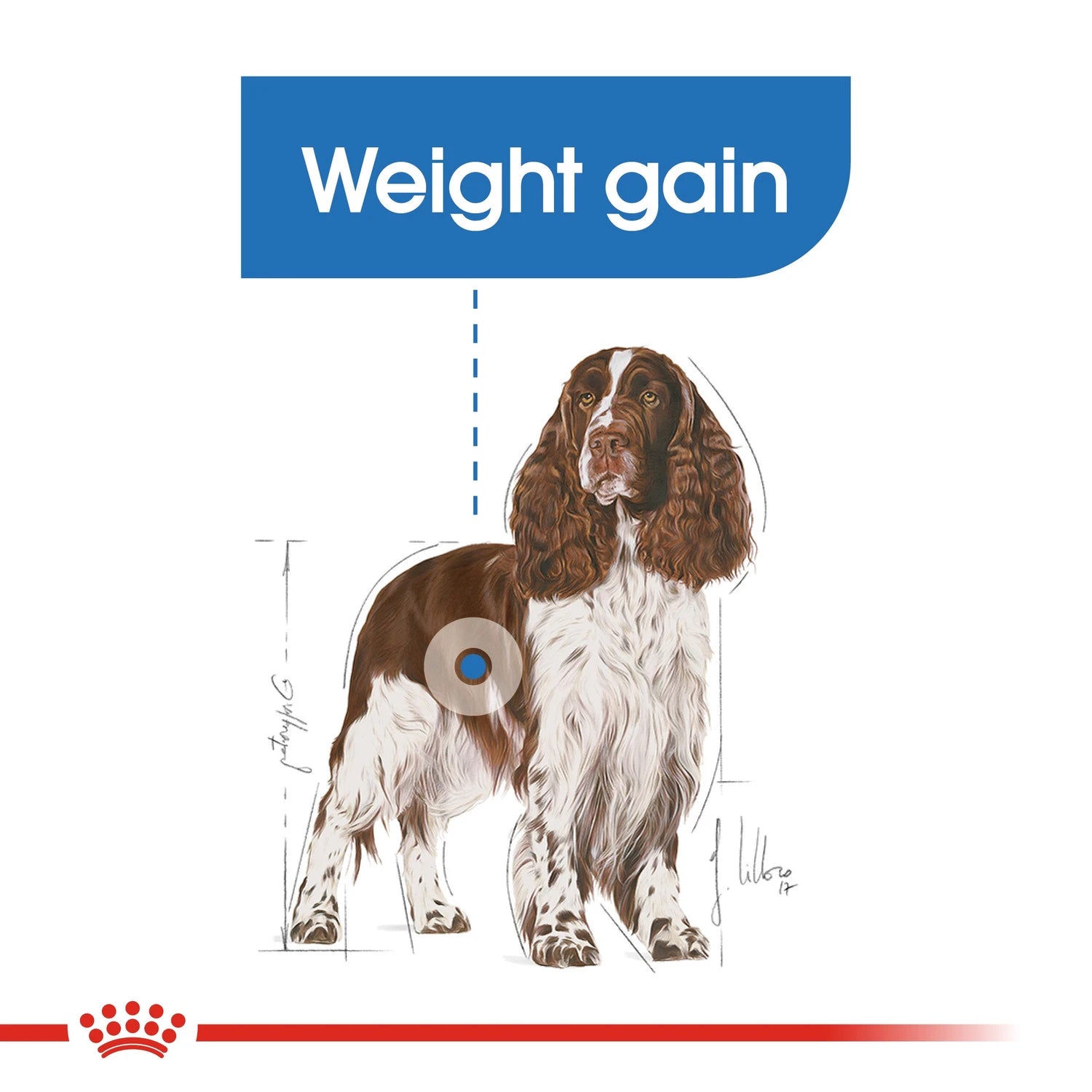 Royal Canine Care Nutrition Medium Light Weight Care 3 kg