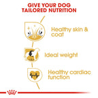 Royal Canin  Breed Health Nutrition Cocker Adult 3 kg