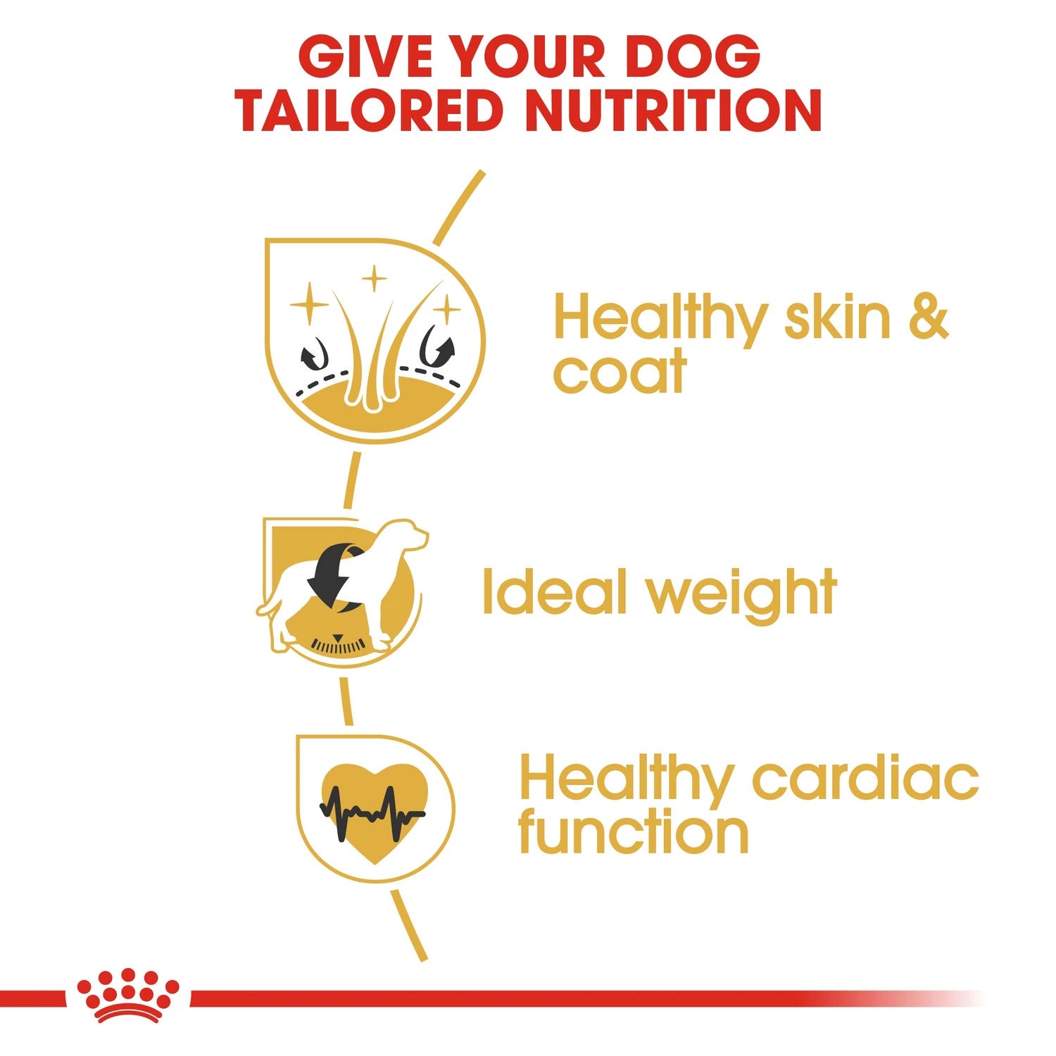 Royal Canin  Breed Health Nutrition Cocker Adult 3 kg