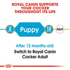 Royal Canin Breed Health Nutrition Cocker Puppy 3 kg