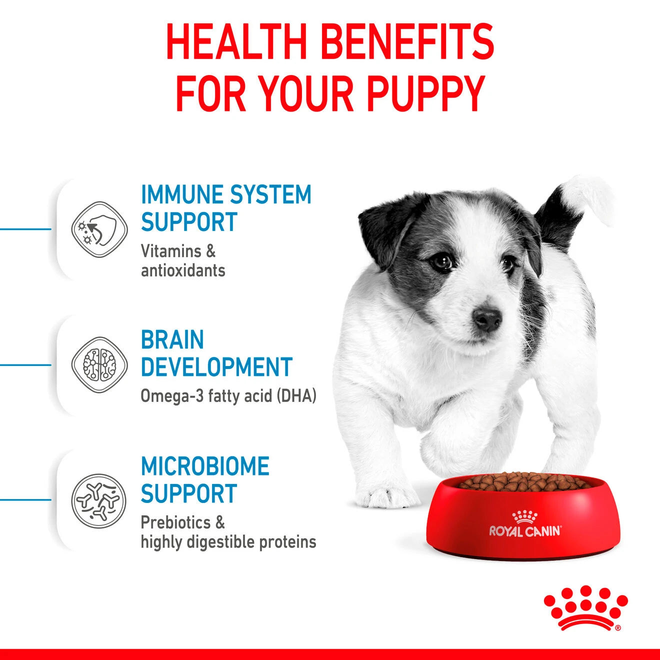 Royal Canin Size Health Nutrition Mini Puppy 4 kg
