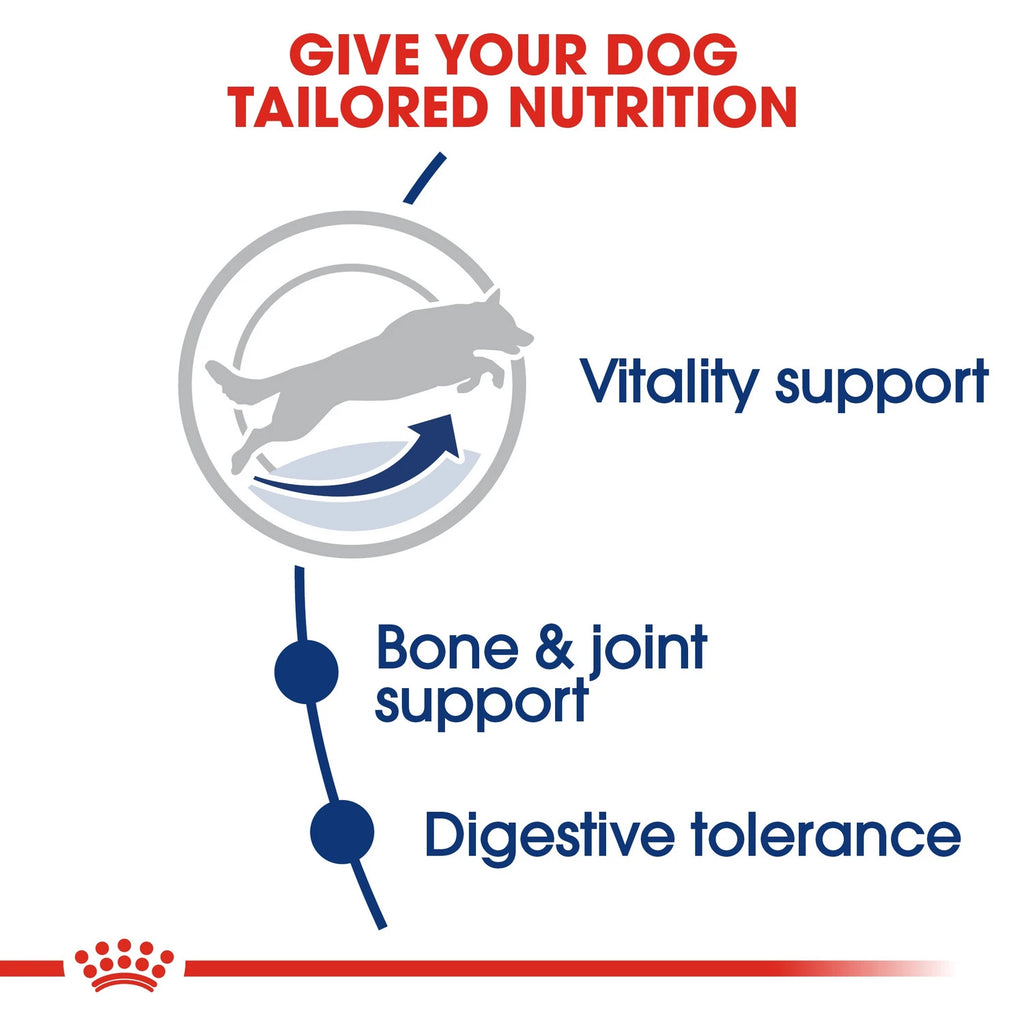 Royal Canin Size Health Nutrition Maxi Adult 5+ 15 kg