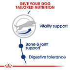 Royal Canin Size Health Nutrition Maxi Adult 5+ 15 kg