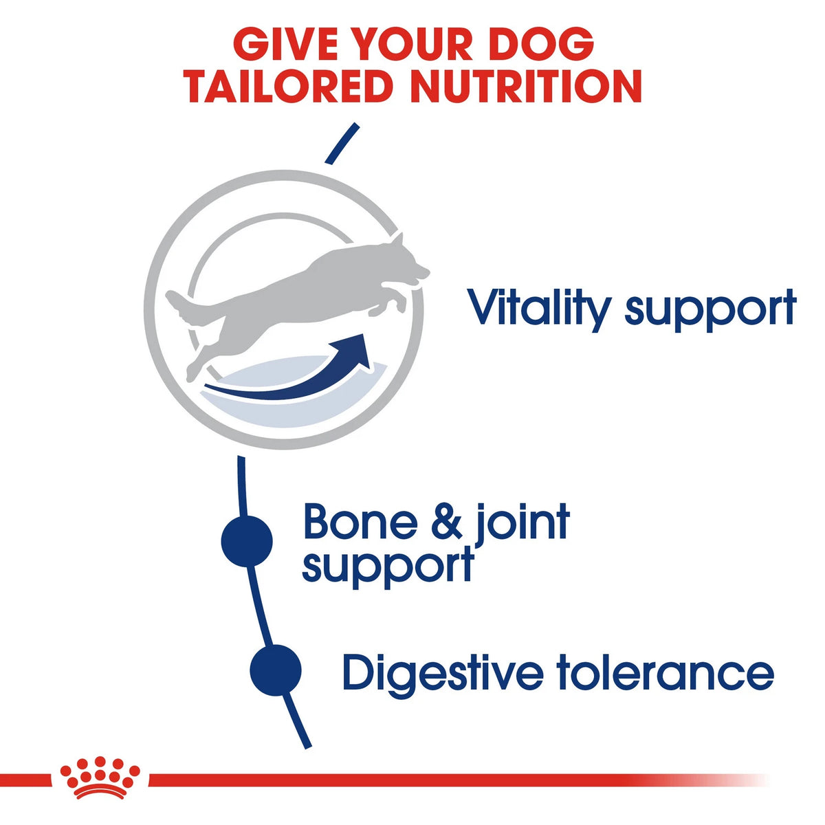 Royal Canin Size Health Nutrition Maxi Adult 5+ 15 kg